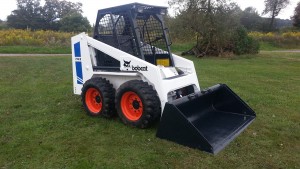 Bobcat 