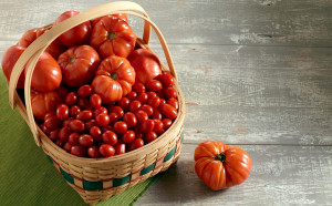 pomidorai